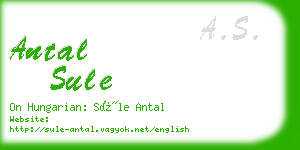 antal sule business card