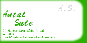 antal sule business card